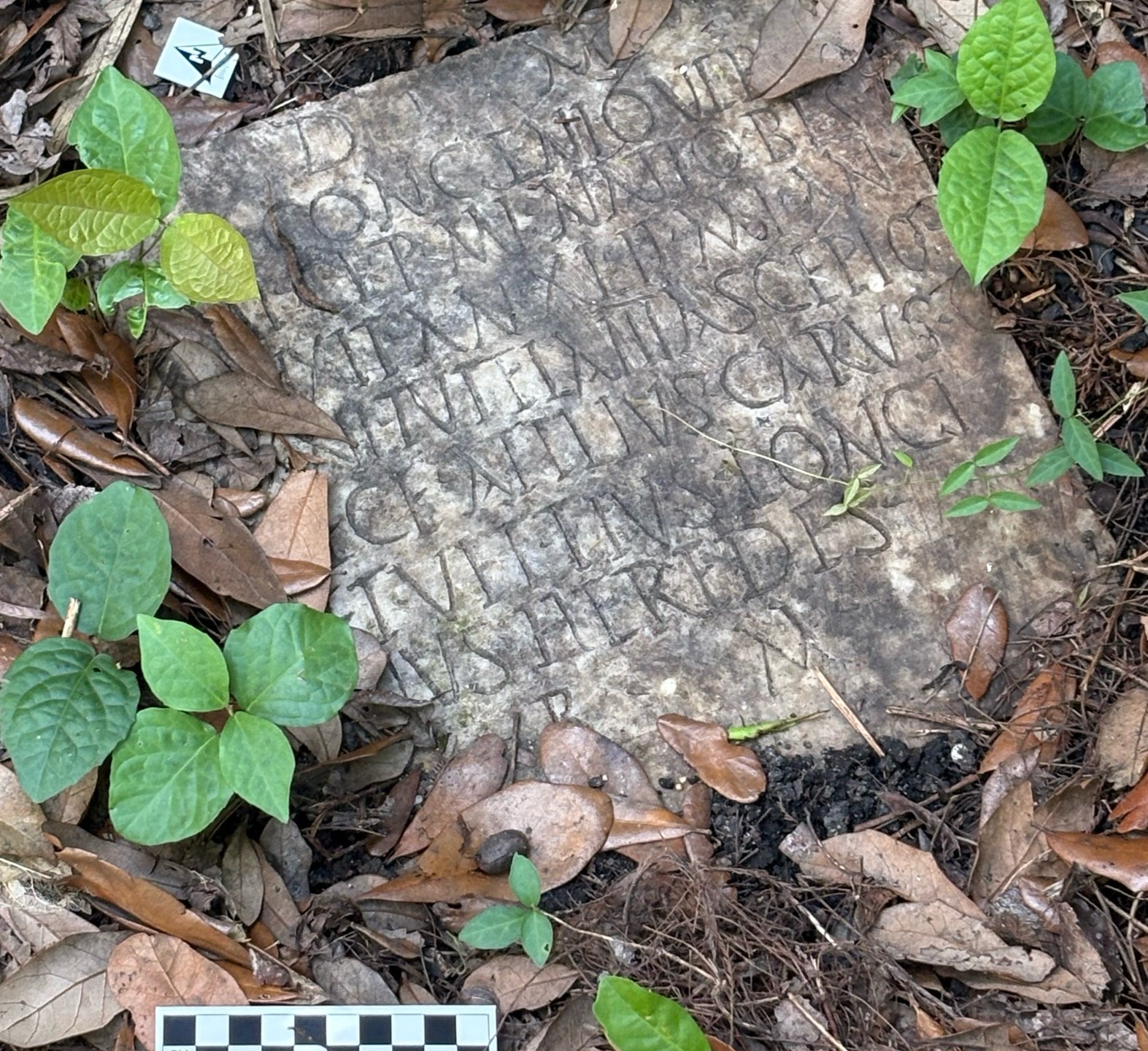 This photo provided by Tulane University classical archeologist Susann Lusnia in October 2025 shows the 1,900-year-old grave marker of a Roman sailor named Sextus Congenius Verus, discovered in a New Orleans backyard. (Susann Lusnia via AP)
