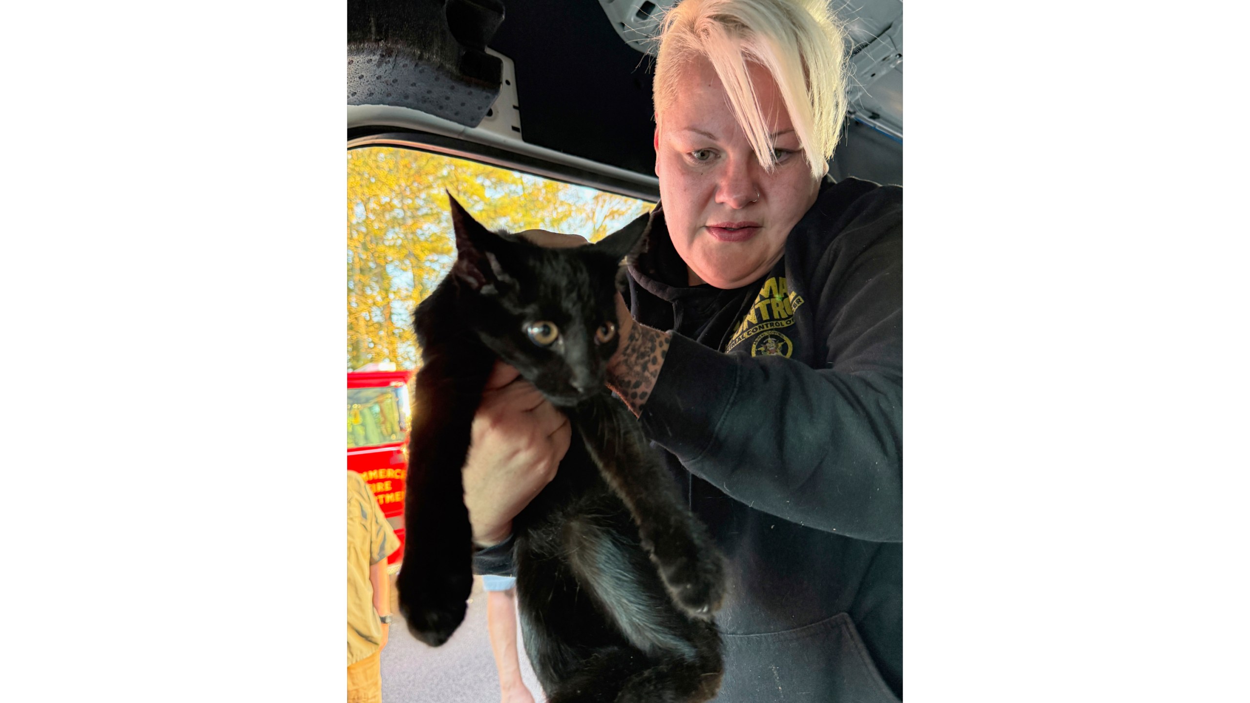 This photo provided by Tina Walden shows Holly Bennett, with Jackson County Animal Control, rescues a cat from a crash involving a semitrailer and a van that was being used by Furkids Animal Rescue and Shelters on an interstate in Jackson County, Ga., Monday, Oct. 13, 2025. (Tina Walden via AP)