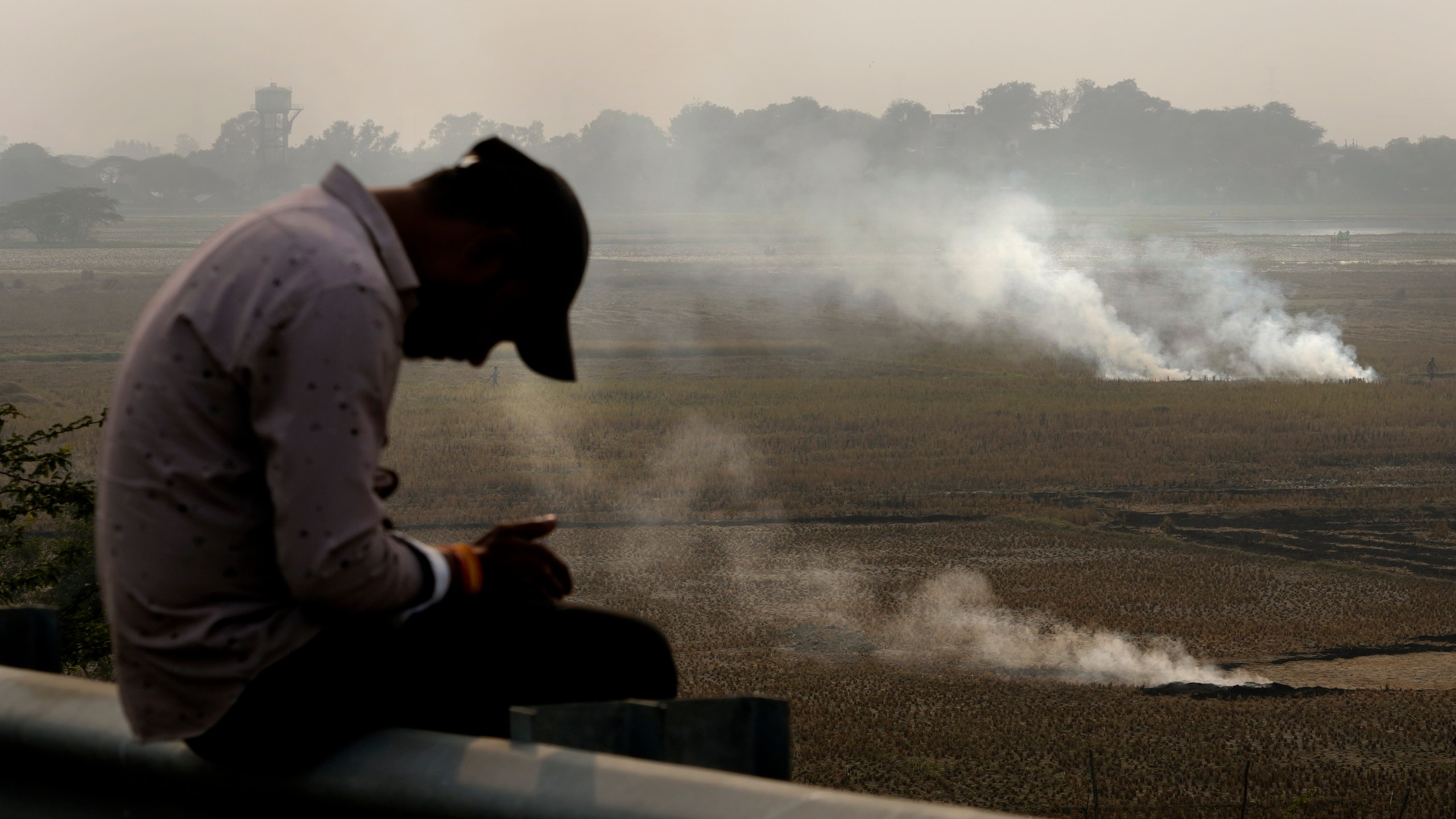 FILE - A person checks his mobile phone as farmers burn crop residue after harvest near Bundelkhand expressway in India, on Nov. 17, 2024. (AP Photo/Manish Swarup, File)