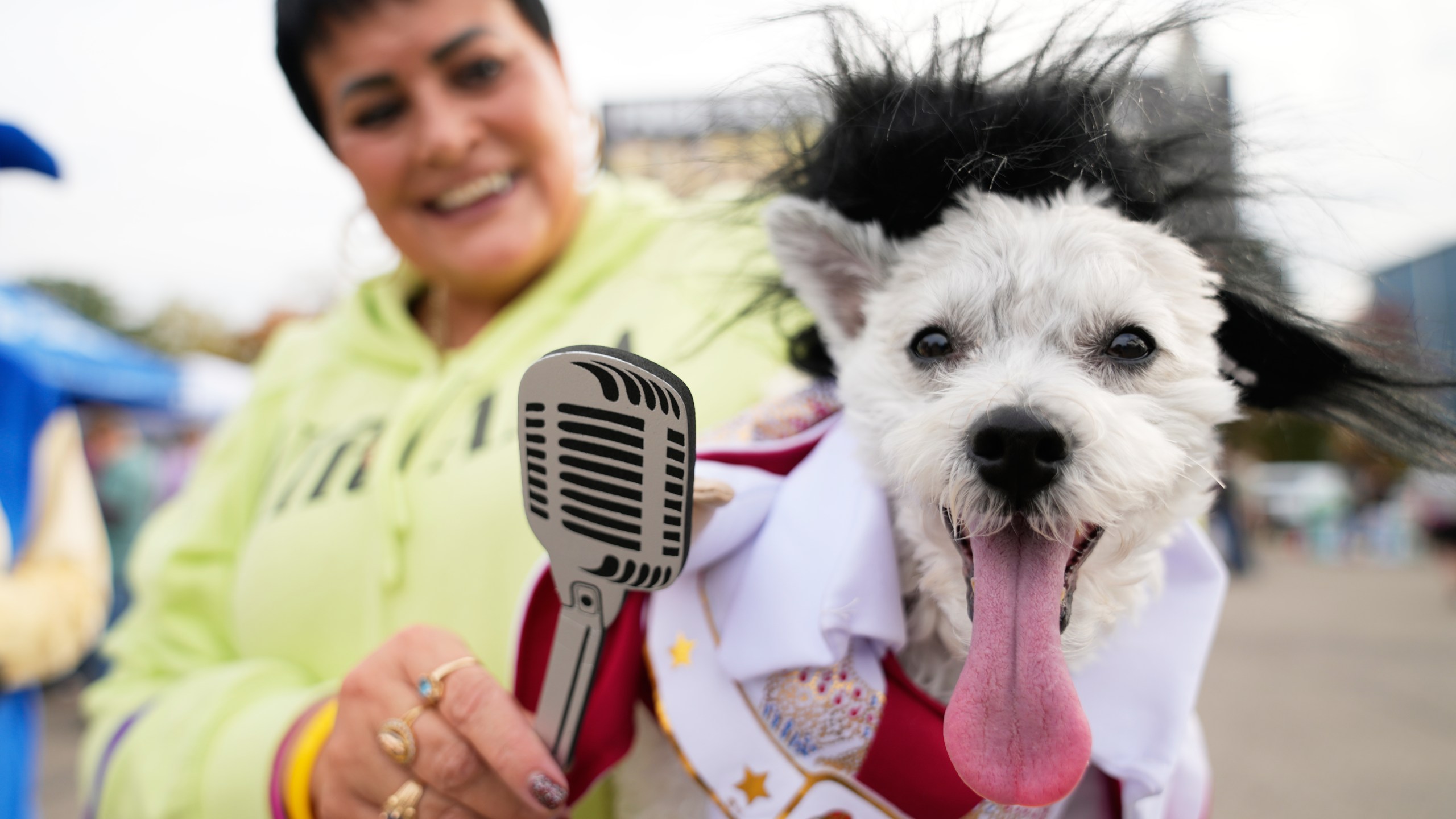 Michelle Dixon, of Laingsburg, holds her dog Abu, who is dressed as singer Elvis Presley, during an event for dog trick-or-treating, Friday, Oct. 17, 2025, in Lansing, Mich. (AP Photo/Ryan Sun)