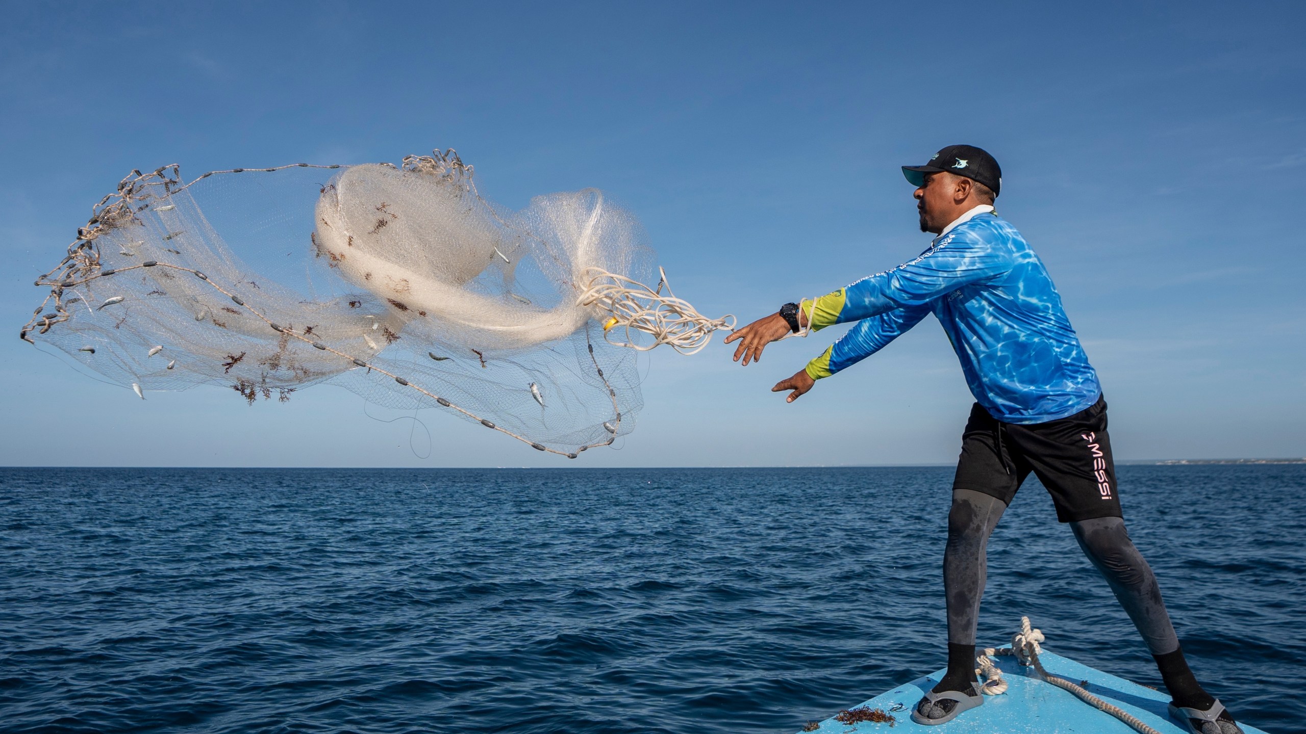 Alido Luis Báez casts a net from his boat to catch sardines as bait in Bayahibe, Dominican Republic on Oct. 20, 2025. (AP Photo/Francesco Spotorno)
